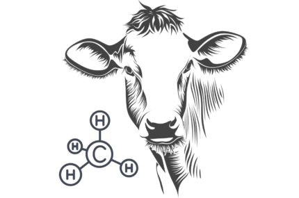 Presentation of new Agricultural Emissions Pricing Scheme – RECORDING