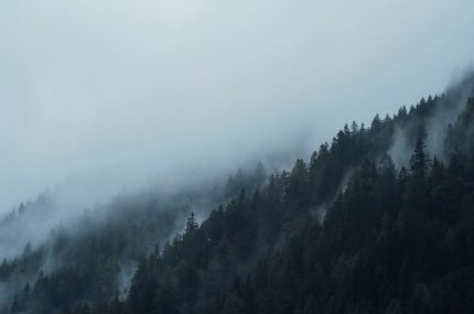 Managing exotic afforestation incentives by changing the forestry settings in the NZ Emissions Trading Scheme – April 2022