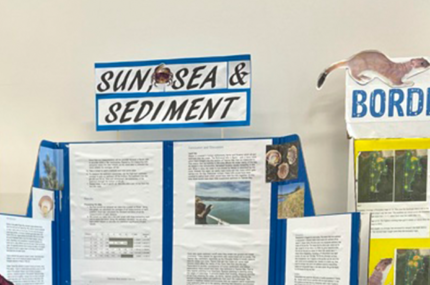 Sun Sea and Sediment Scoops Climate Challenge Award at Cawthron Sci Tech Expo