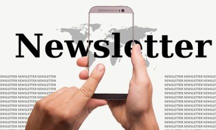 November 2022 Newsletter