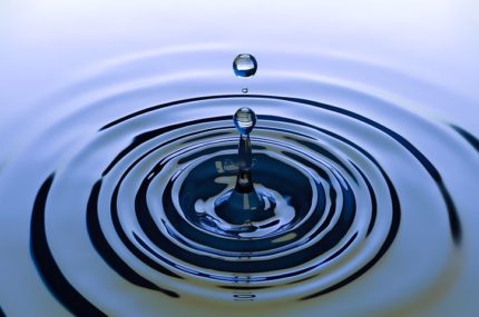 Call for information on aquatic herbicides
