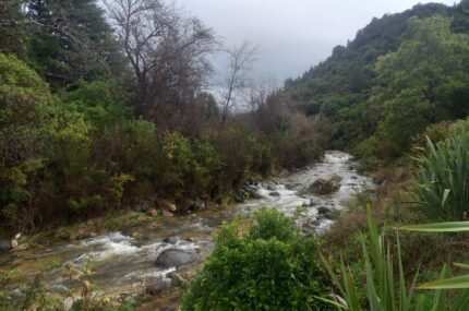 Resource Management (Freshwater and Other Matters) Amendment Bill 2024