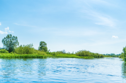 Waimea River Park Management Plan review – August 2024