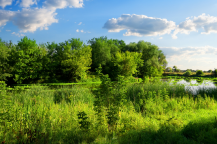 Reserve Classification: Richmond Ward and Lakes-Murchison Ward – November 2024