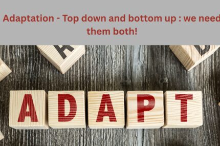 Adaptation – Top down and bottom up: we need them both!