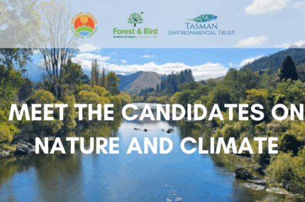 Meet the Tasman candidates – RECORDINGS