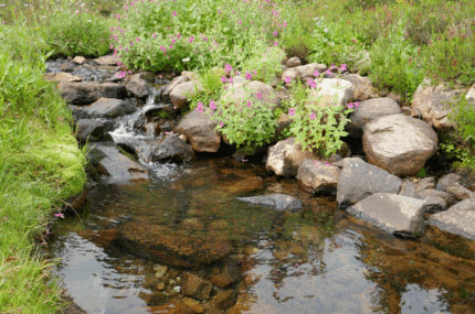 Freshwater National Direction