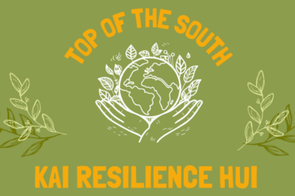 Kai Resilience Hui report