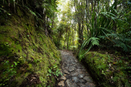 National Conservation Policy Statement 2026